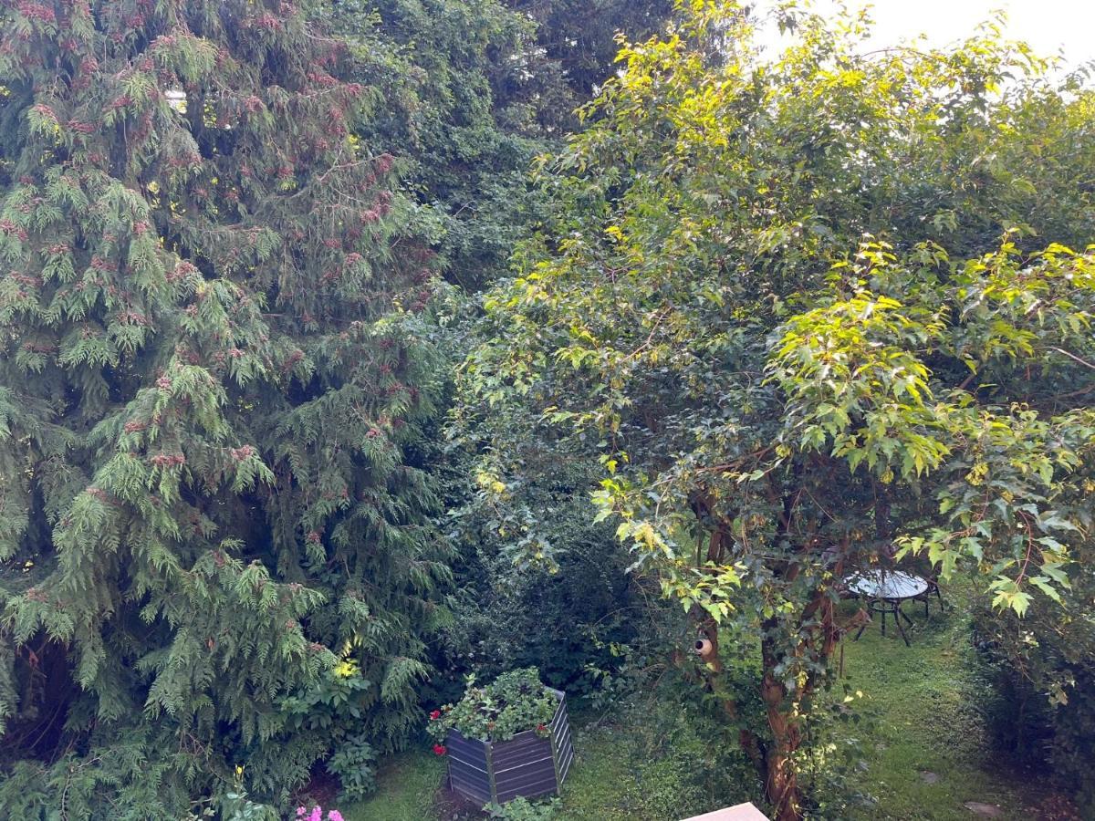 Forsthaus Neudorf Apartment Harzgerode Bagian luar foto